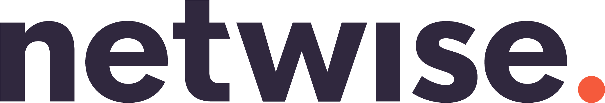 Testimonial fromNetwise