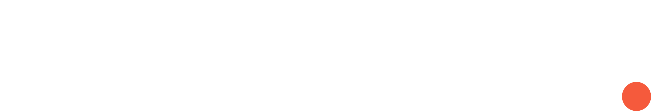 Netwise logo